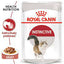 Wet Cat Treats - Royal Canin