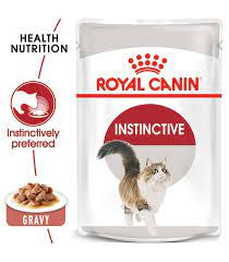 Wet Cat Treats - Royal Canin