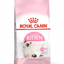 Wet Cat Treats - Royal Canin